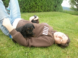 Von sicherer Position aus die Welt ansehen…