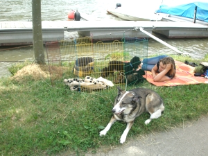 Neues kennenlernen beim Ausflug an die Mosel