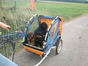Spazierfahrt mit Leo...